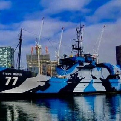 The MY Steve Irwin, formerly the flagship vessel for the Sea Shepherd Conservation Society, berthed in Melbourne's Victoria Harbour.