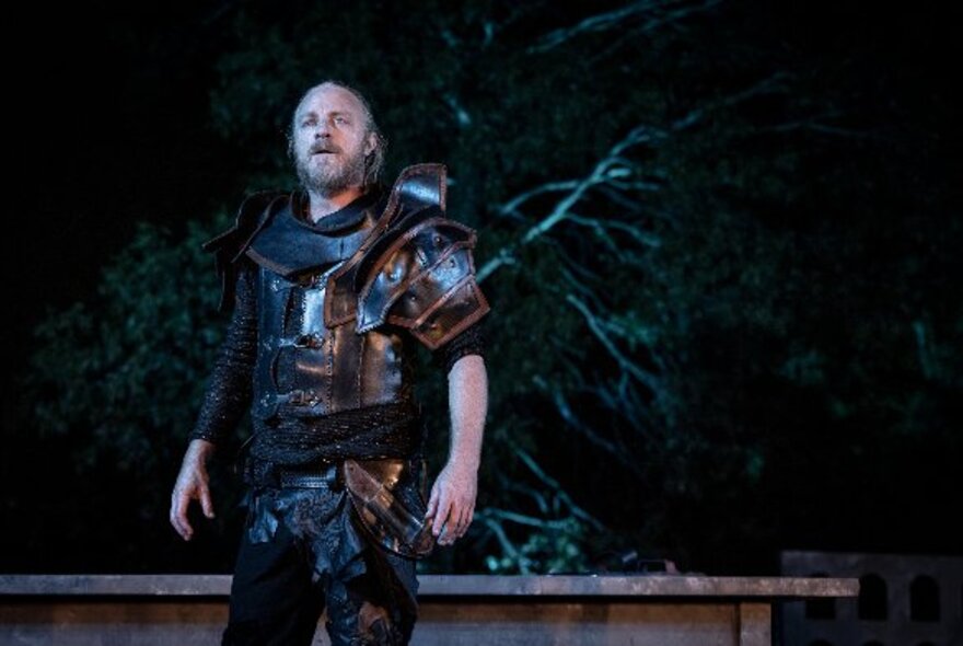 An actor in character from the play Macbeth performing at night, outdoors in the Botanic Gardens.