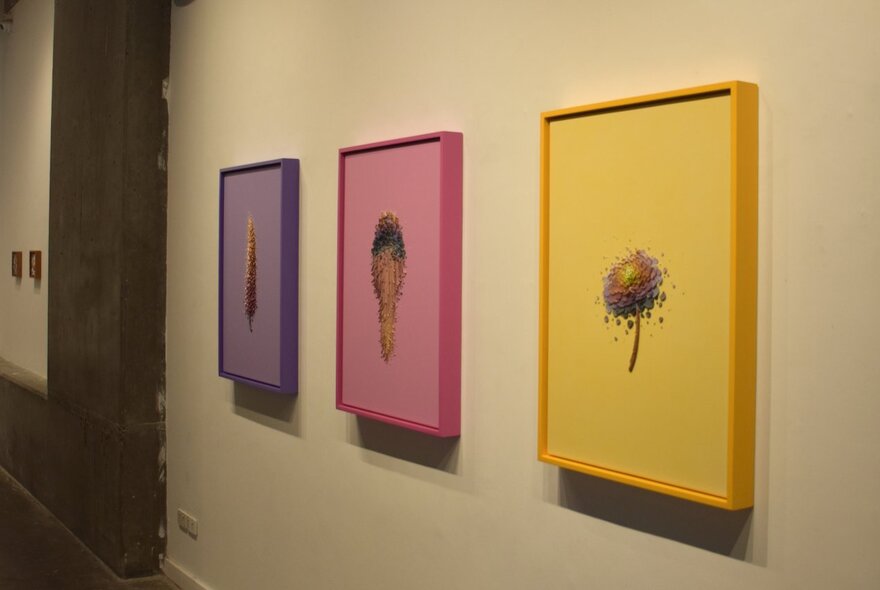 Three colourful paintings by artist Josh Davison, hanging side-by-side on a pale coloured gallery wall.