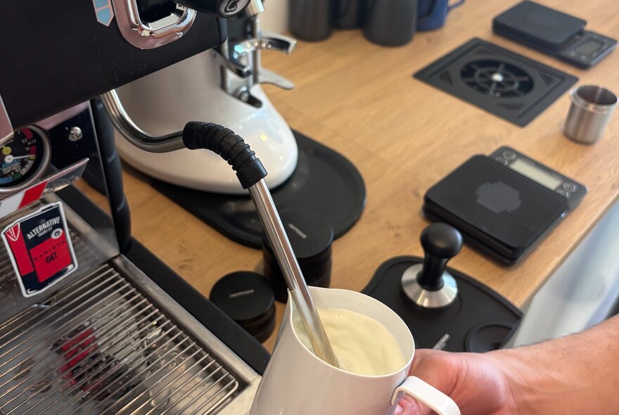 A person steaming milk on a cafe-grade espresso machine.