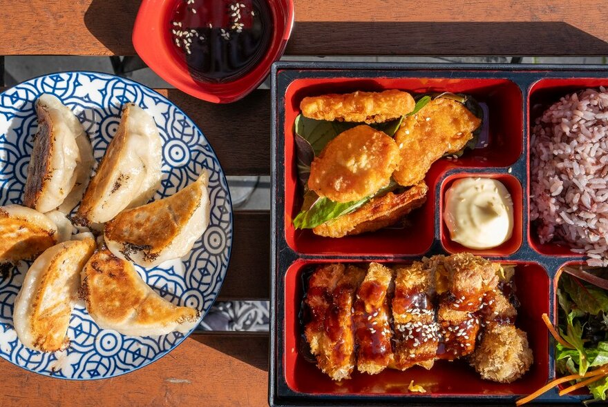 A bento box with fried chicken next to a plate of gyoza.