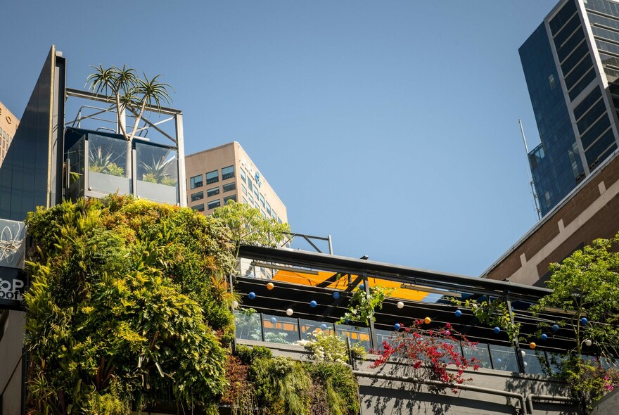 View from the street looking up at the Loop rooftop bar with blue sky and buildings in the background.