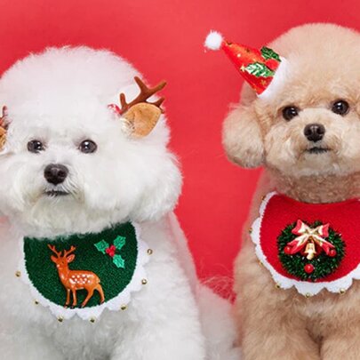 Two dogs wearing Christmas outfits.