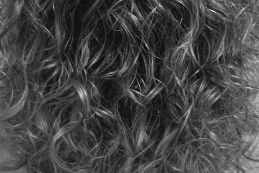 A black and white close-up picture of curly hair.