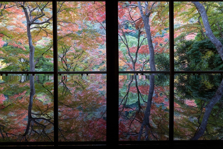 A view of vibrant autumn foliage through a window, reflected on a polished wooden floor, creating a stunning 'water mirror' effect at a traditional Japanese location in Kyoto.