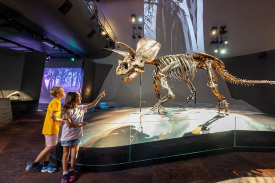 A young boy and girl pointing to triceratops bones in the Museum.