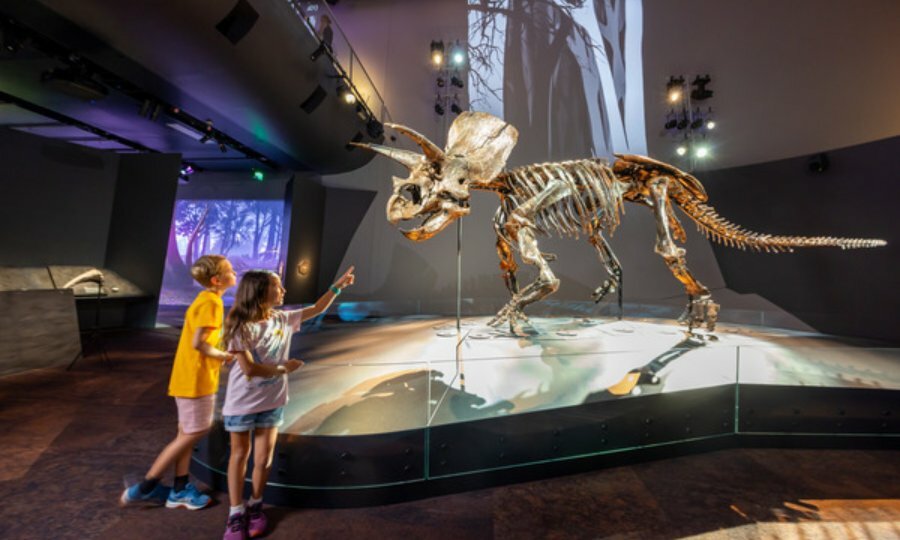 A young boy and girl pointing to triceratops bones in the Museum.