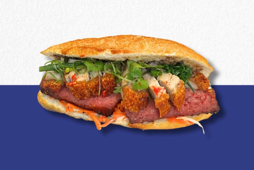 Banh mi sandwich on a blue and white background.