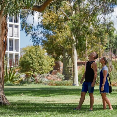 National Eucalypt Day Walk