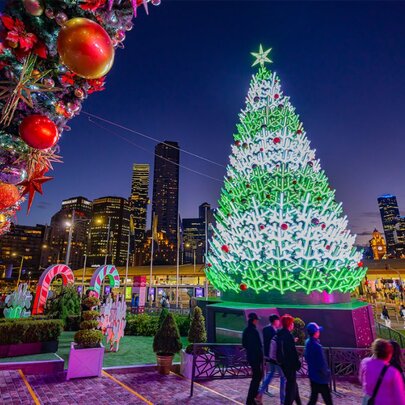 Christmas Tree Lighting