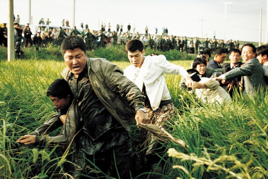 A still image from the South Korean film Memories of Murder with people struggling in a long grass.