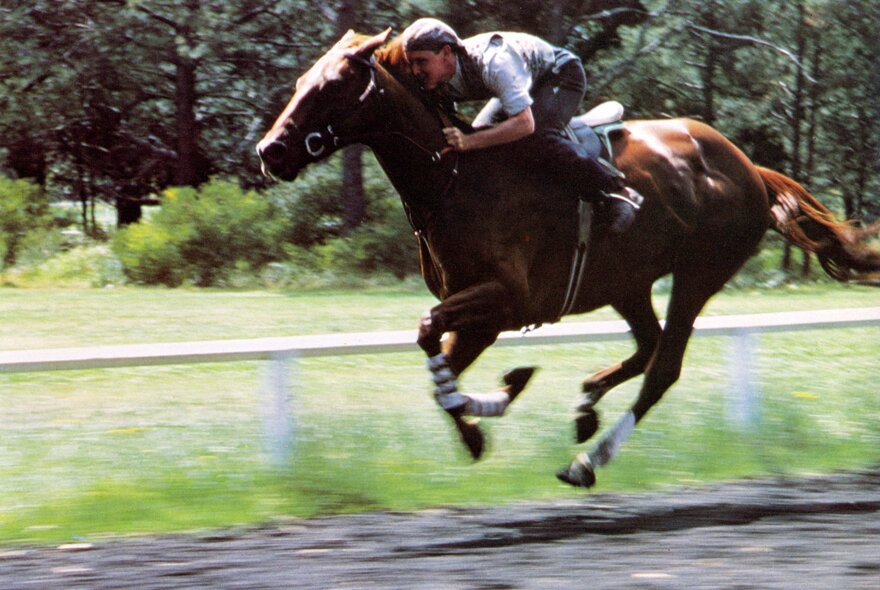 A boy riding a galloping horse past a white railing.