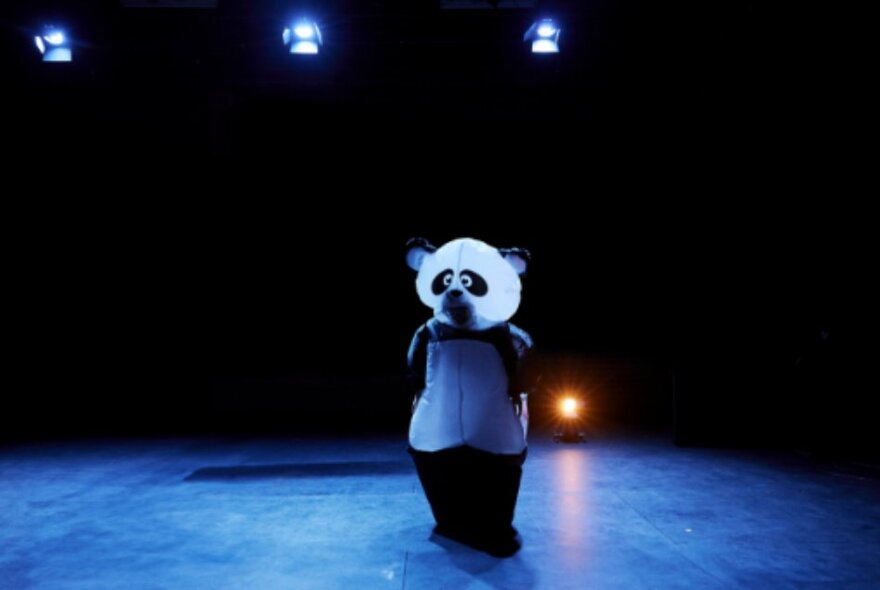 A solo performer on a stage, under spotlights,  dressed in a panda costume.