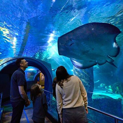 SEA LIFE Melbourne Aquarium