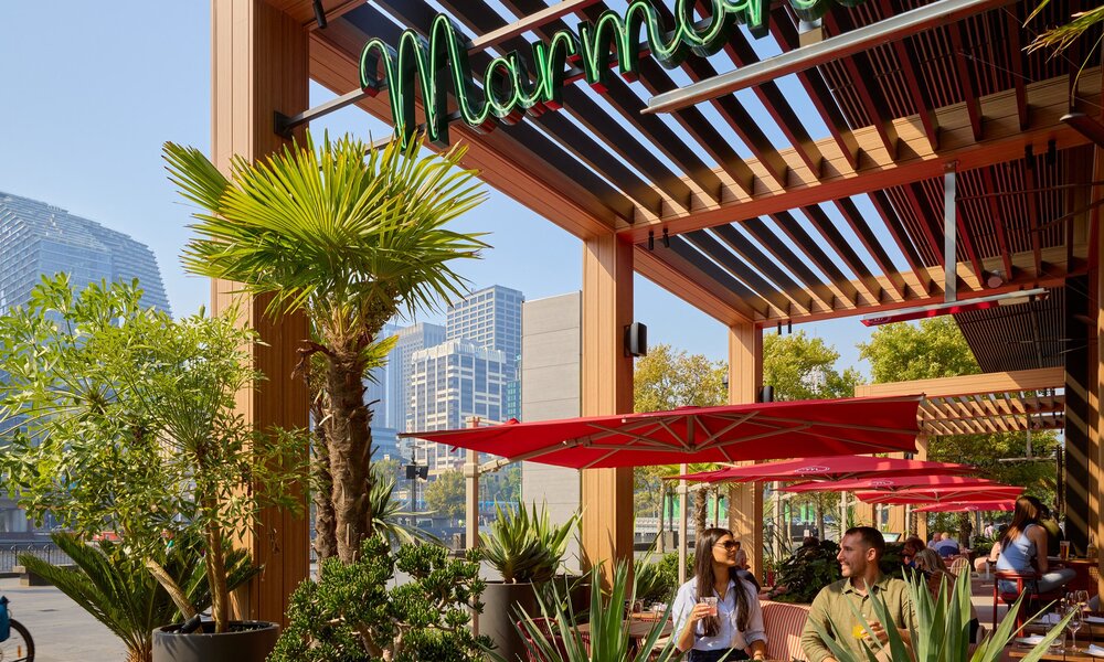Two friends are sitting outside at a bar drinking cocktails on a sunny day. There are surrounded by pot plants.