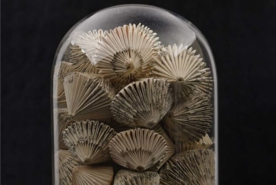 Glass dome containing book pages formed to look like round shells.