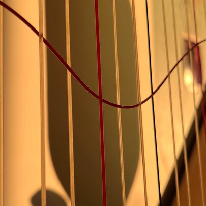 A close up of some strings of varying colours.