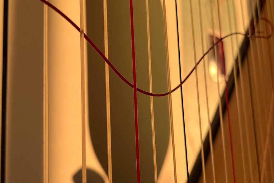 A close up of some strings of varying colours.