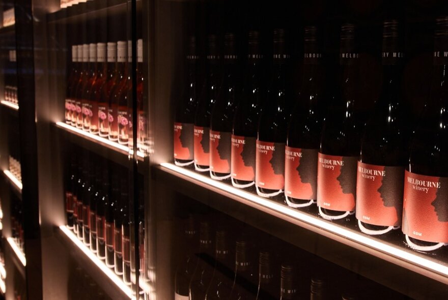 A wall of shelves filled with wine bottles. 