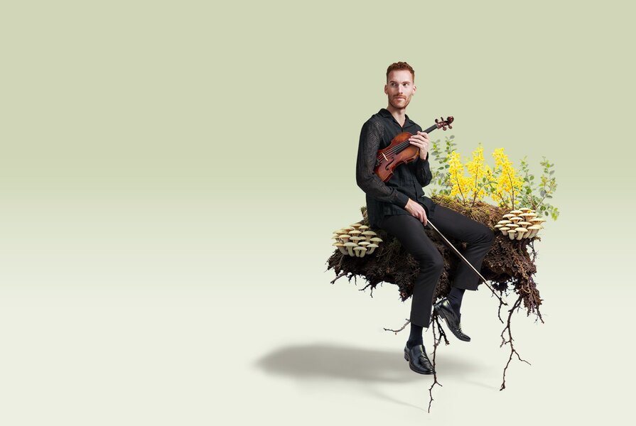 Melbourne Chamber Orchestra: Overgrown Paths