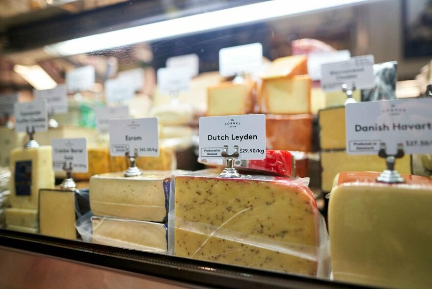 Close up of a variety of cheeses with small information panels on top, as seen though a deli glass cabinet.