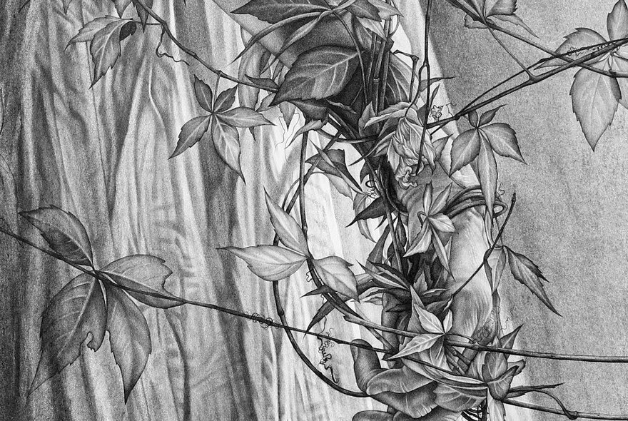 A monochrome sketch of leaves and vines over the trunk of a tree.