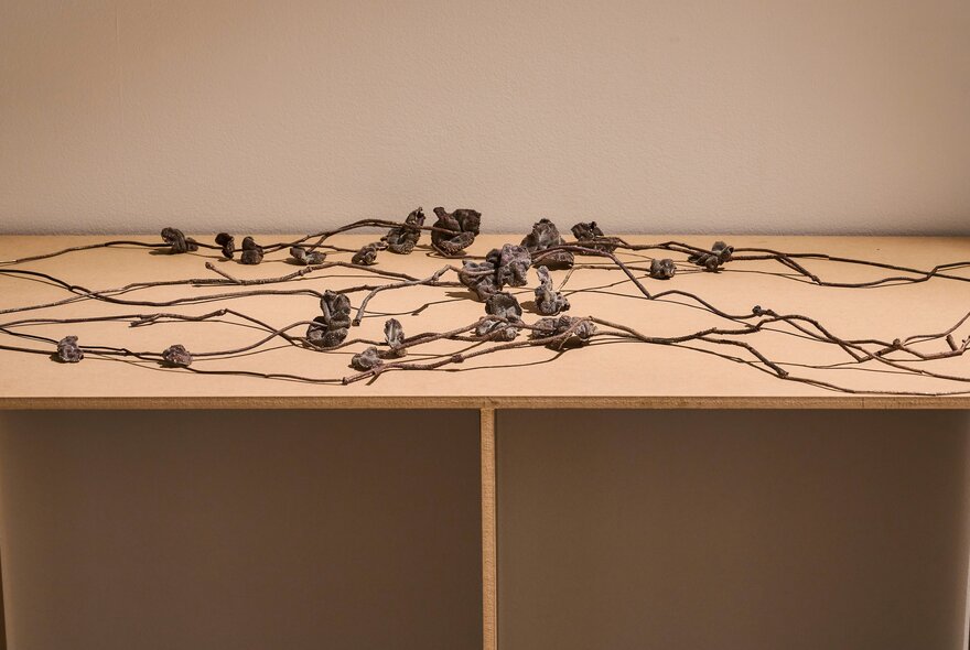 Delicate woven object laid out on a display shelf; an installation view of the exhibition In the Making at Craft Victoria's gallery space. 