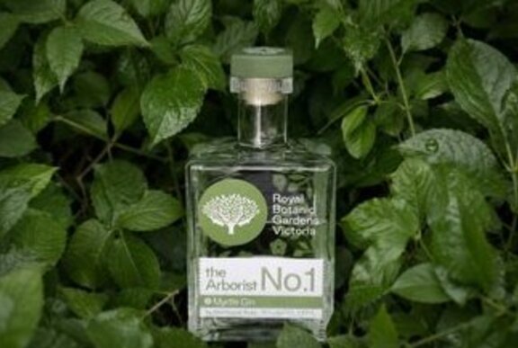 Bottle of botanical gin against greenery.
