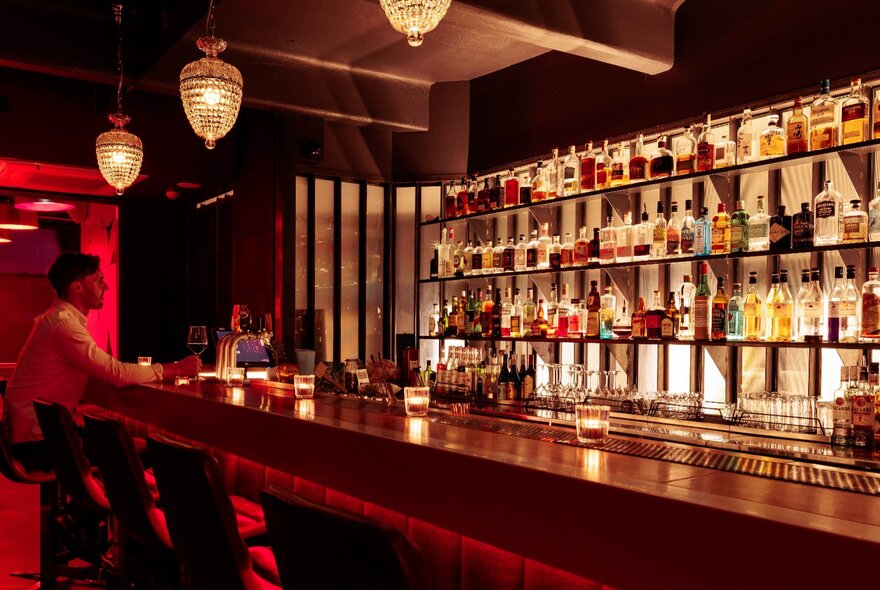 The wooden bar counter at Little Red bar, with a person at the end of the bar.