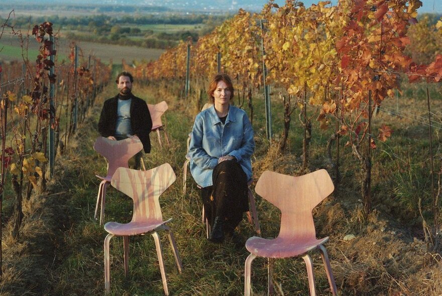 A man and woman seated on wooden chairs in an autumnal vineyard.