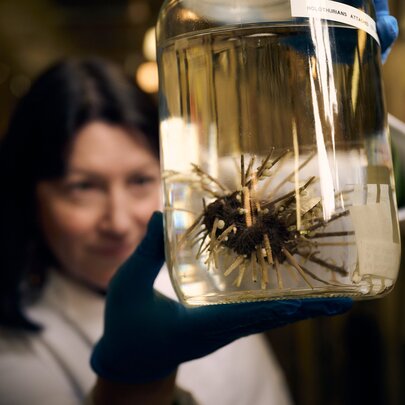 Woman wearing black gloves, holding up a jar with a spiny creature inside.