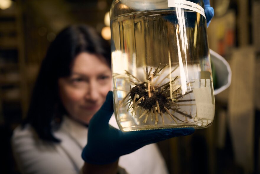 Woman wearing black gloves, holding up a jar with a spiny creature inside.