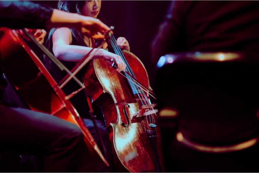 A close up of two cellos being played.