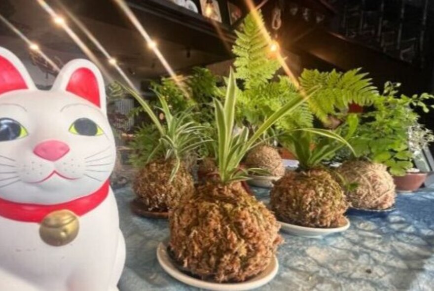 Several moss balls with plants growing out of them on a table, with a small ceramic cat sculpture in the foreground. 