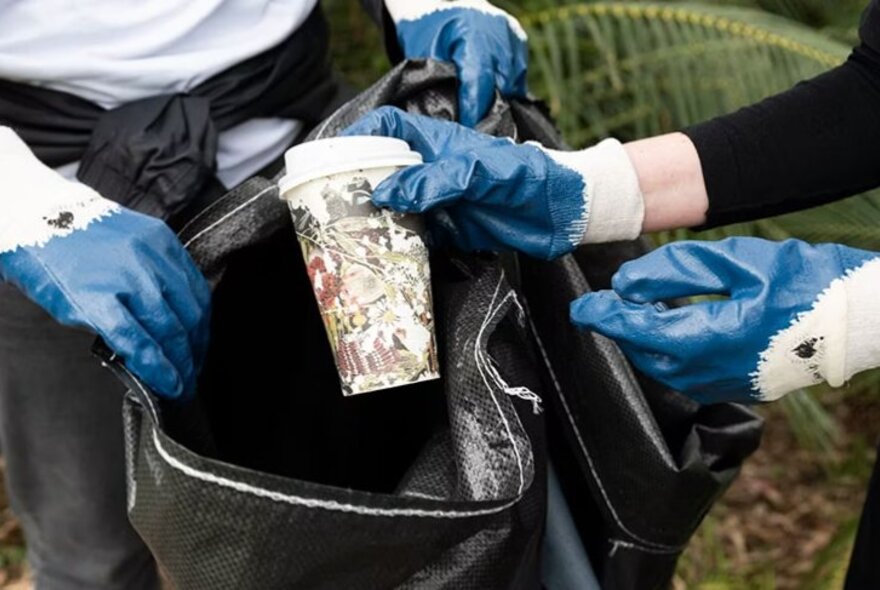 Hands wearing blue gloves putting litter they've picked up into a heavy-duty black bag that is being held up by another pair of gloved hands.
