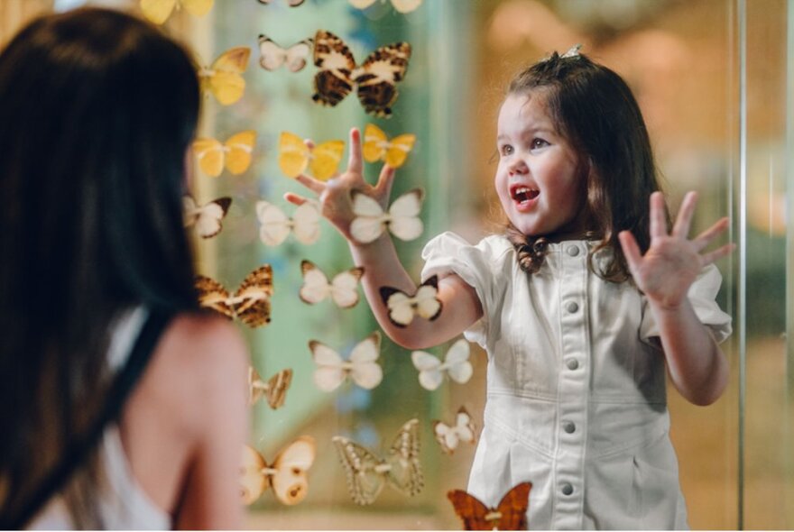 A young girl looking delightedly at a glass butterfly display at the Melbourne Museum.