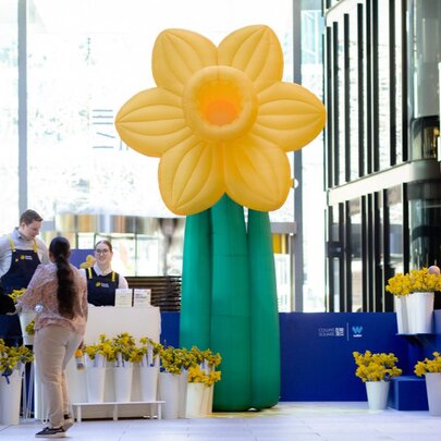 A 4m blow up daffodil in the foyer of a shopping precinct, real daffodils for sale on display around it, with people milling around a desk.