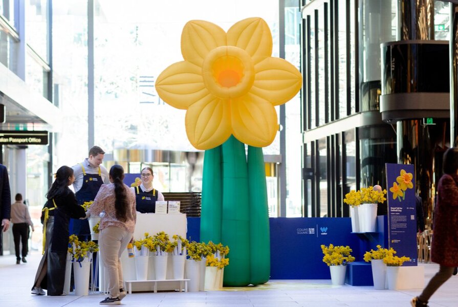 Daffodil Day