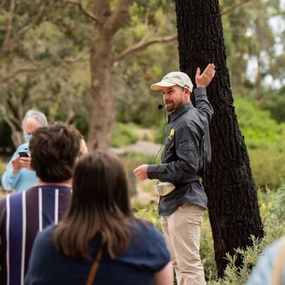 National Eucalypt Day Walk