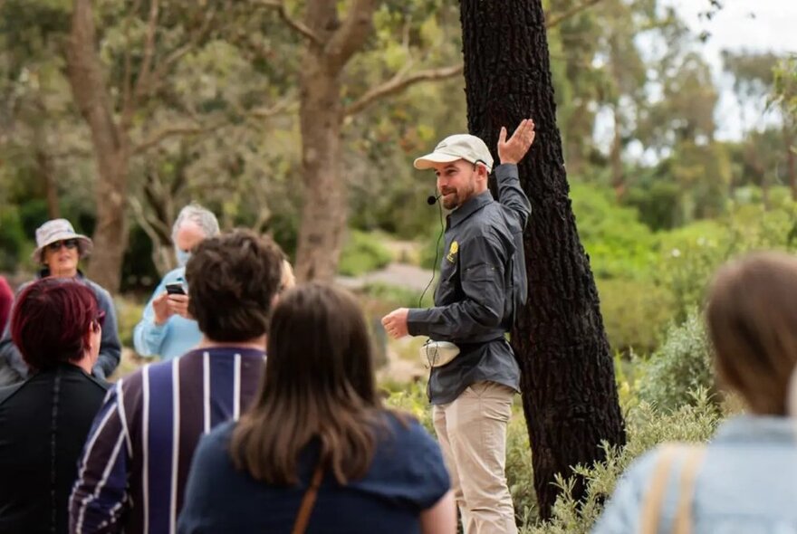 A man in a long sleeved dark shirt and cap leading a walking tour in the Royal Botanic Gardens; he is talking and pointing to the trunk of a eucalyptus tree, while several people stand around watching and listening.