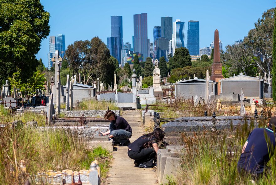 People planting grasses around tombs at Melbourne General Cemetery, city towers in the background.