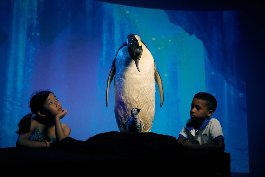 Two children looking at a large penguin on display in the Our Wondrous Planet biodiversity gallery at the Melbourne Museum.