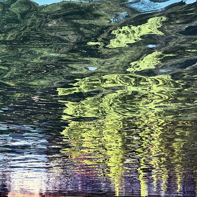 Trees and buildings reflected in water.
