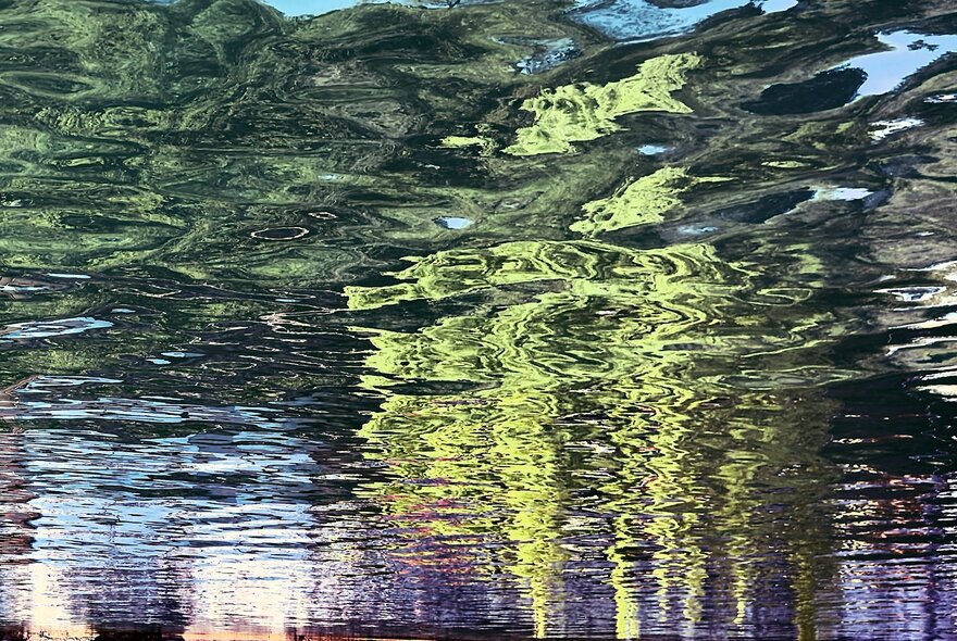 Trees and buildings reflected in water.