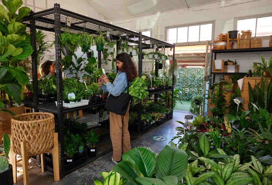 Two women browsing shelves in a plant store surrounded by big and small house plants.