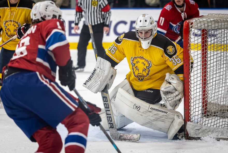 Ice hockey players on the ice during a game.