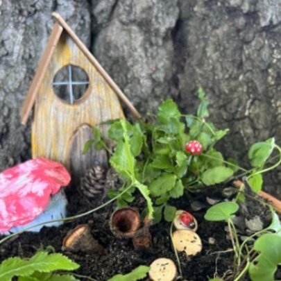 Making a Fairy Garden