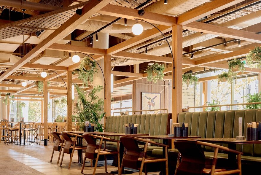 Interior of the Quarterhouse, with exposed timber ceiling beams, booth seating, hanging baskets of plants, and windows all around the walls letting in plenty of light.