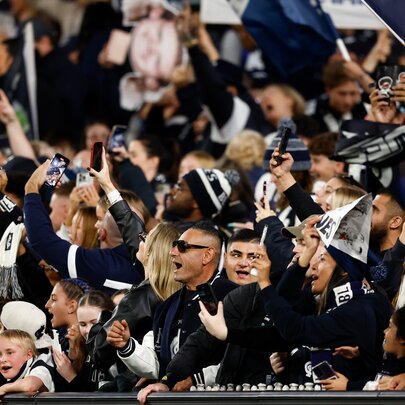 AFL football fans in the stands during a match.