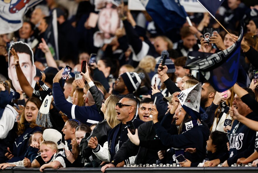 AFL football fans in the stands during a match.
